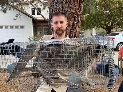 Baton Rouge pest control